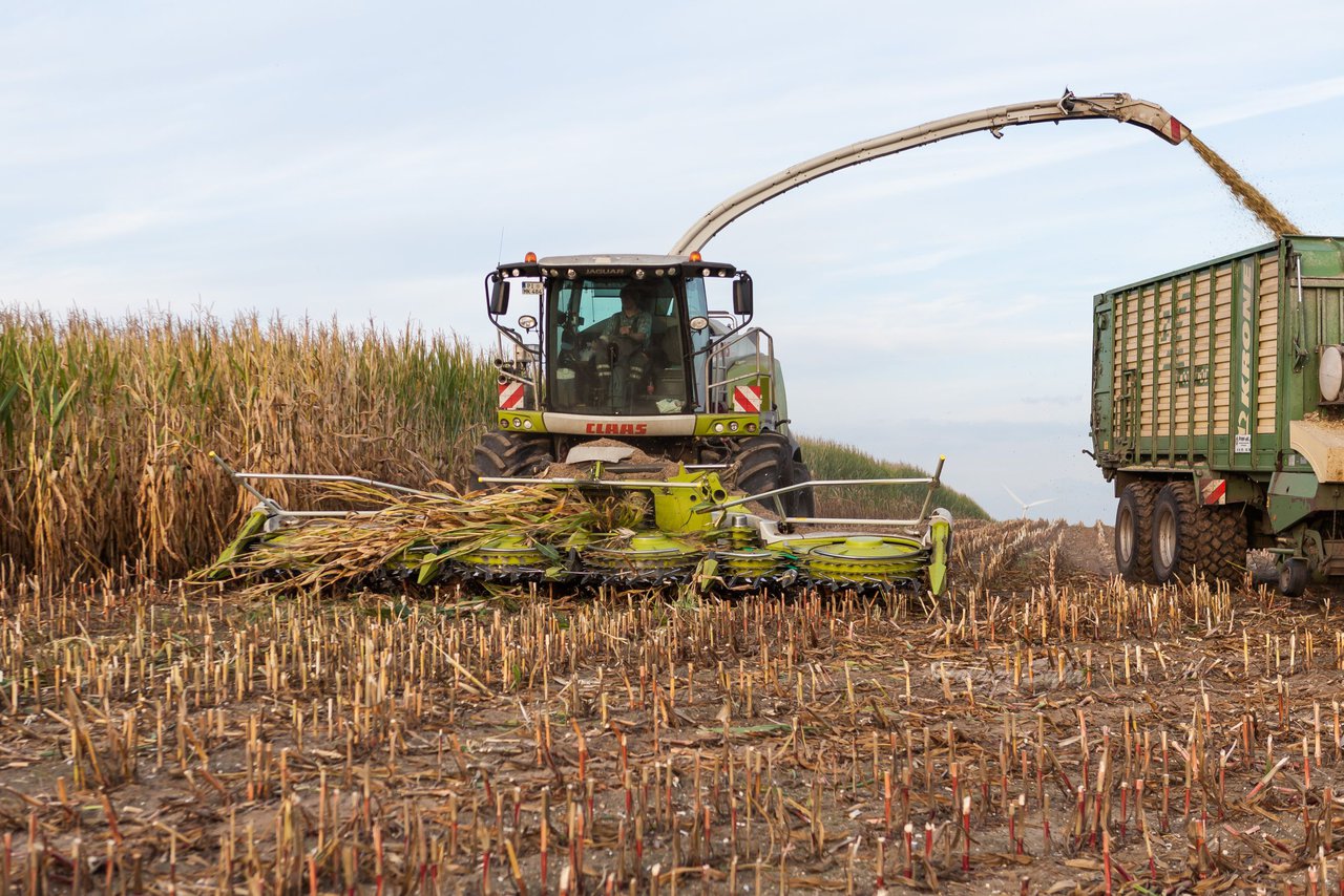 Bild 93 - Maisernte 2016